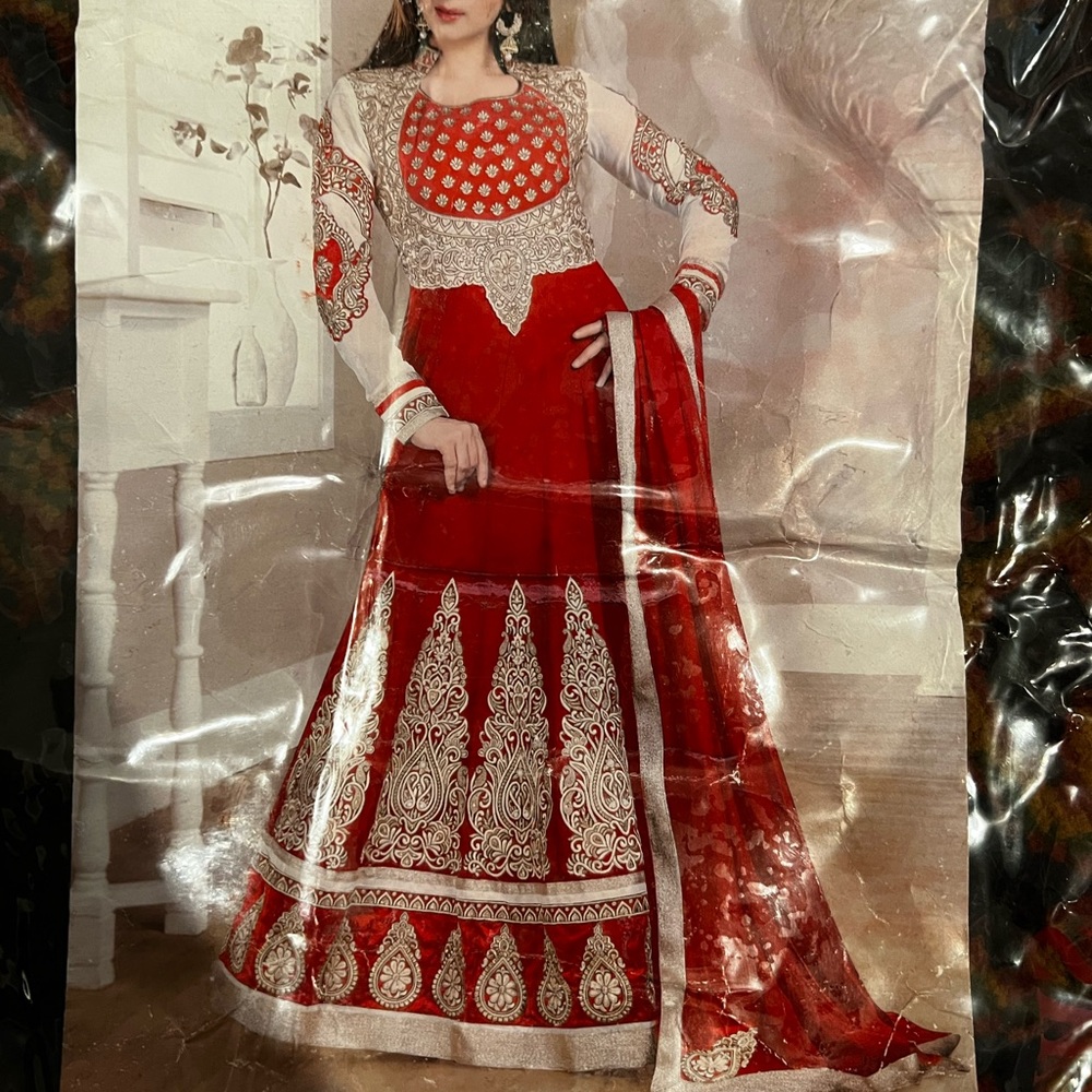 Pakistani Desi Anarkali Dress (Medium)